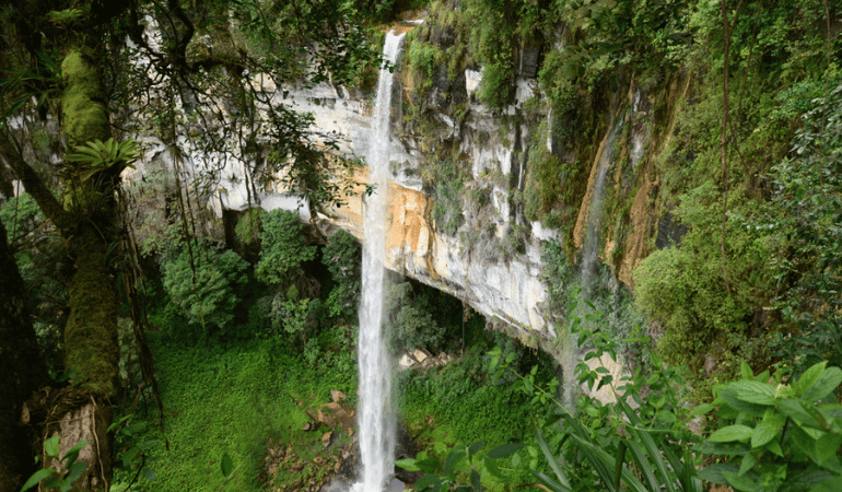 Catarata de Yumbilla